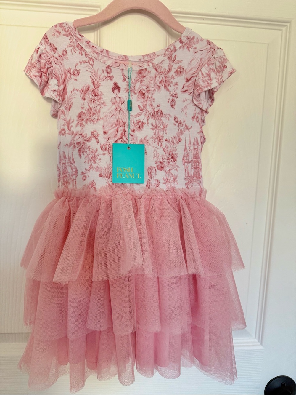 Posh Peanut Pink Floral Tulle Dress 5/6